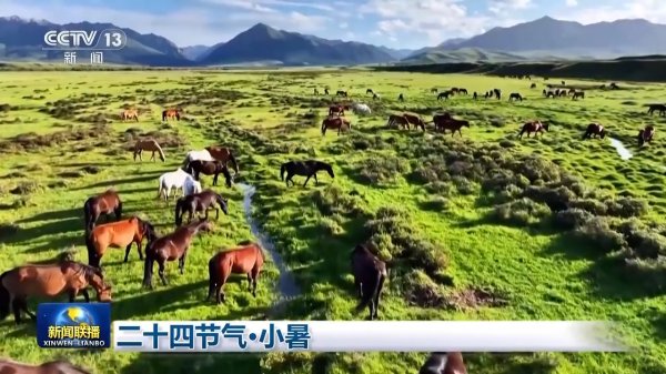 配资114平台 文化中国行丨二十四节气·小暑 感受节气里的自然律动_大皖新闻 | 安徽网