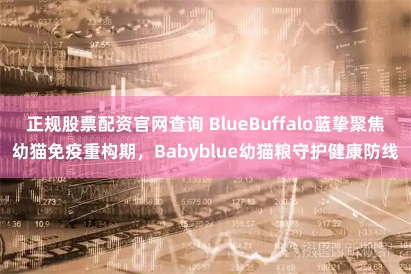 正规股票配资官网查询 BlueBuffalo蓝挚聚焦幼猫免疫重构期，Babyblue幼猫粮守护健康防线