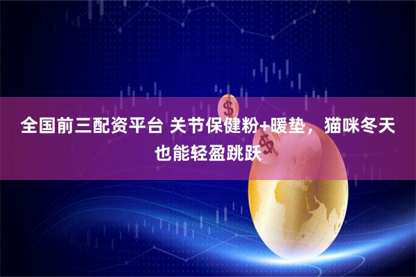 全国前三配资平台 关节保健粉+暖垫，猫咪冬天也能轻盈跳跃